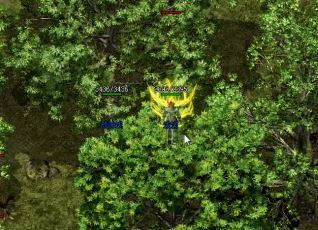 在1.76精品传奇中玩家交易有何意义 在1.76精品传奇中玩家交易有何意义