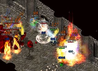 在《嘟嘟传奇》中,如何成功地吸引红野猪的注意力呢? 在《嘟嘟传奇》中,如何成功地吸引红野猪的注意力呢?