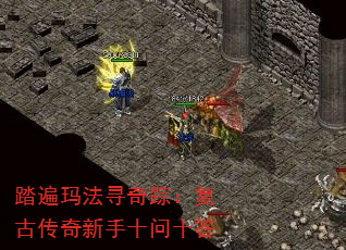 ̤���귨Ѱ���٣����Ŵ�������ʮ��ʮ��