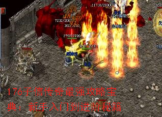 176子信传奇最强攻略宝典:新手入门到进阶秘籍 176子信传奇最强攻略宝典:新手入门到进阶秘籍