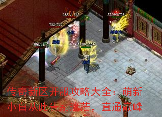 传奇新区开服攻略大全:萌新小白从此告别迷茫,直通巅峰 传奇新区开服攻略大全:萌新小白从此告别迷茫,直通巅峰