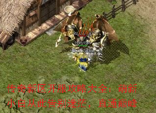 传奇新区开服攻略大全:萌新小白从此告别迷茫,直通巅峰 传奇新区开服攻略大全:萌新小白从此告别迷茫,直通巅峰