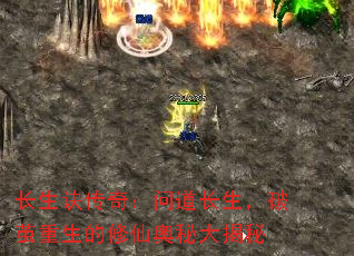 长生诀传奇:问道长生,破茧重生的修仙奥秘大揭秘 长生诀传奇:问道长生,破茧重生的修仙奥秘大揭秘