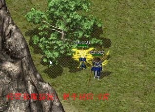 传奇私服探秘:新手进阶指南 传奇私服探秘:新手进阶指南