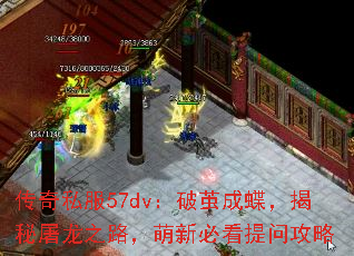 传奇私服57dv:破茧成蝶,揭秘屠龙之路,萌新必看提问攻略 传奇私服57dv:破茧成蝶,揭秘屠龙之路,萌新必看提问攻略