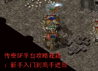 传奇SF平台攻略秘籍:新手入门到高手进阶 传奇SF平台攻略秘籍:新手入门到高手进阶