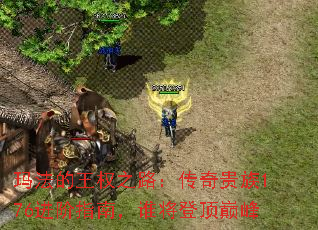 玛法的王权之路:传奇贵族176进阶指南,谁将登顶巅峰 玛法的王权之路:传奇贵族176进阶指南,谁将登顶巅峰