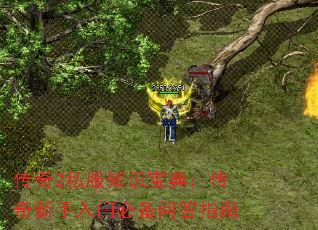 传奇2私服知识宝典:传奇新手入门必备问答指南 传奇2私服知识宝典:传奇新手入门必备问答指南
