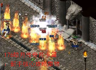 176��´����¿�ƪ�����ֺ��Ĺ��Լ���