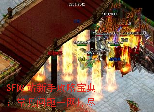 SF网站新手攻略宝典:常见问题一网打尽 SF网站新手攻略宝典:常见问题一网打尽