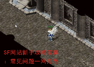 SF网站新手攻略宝典:常见问题一网打尽 SF网站新手攻略宝典:常见问题一网打尽