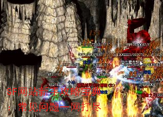 SF网站新手攻略宝典:常见问题一网打尽 SF网站新手攻略宝典:常见问题一网打尽