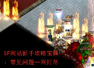 SF网站新手攻略宝典:常见问题一网打尽 SF网站新手攻略宝典:常见问题一网打尽