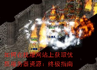 如何在找服网站上获取优质服务器资源:终极指南 如何在找服网站上获取优质服务器资源:终极指南