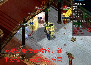 免费玩服传奇攻略:新手必备,快速升级指南 免费玩服传奇攻略:新手必备,快速升级指南