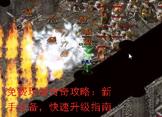 免费玩服传奇攻略:新手必备,快速升级指南 免费玩服传奇攻略:新手必备,快速升级指南