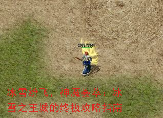 冰雪纷飞,神魔荟萃:冰雪之王城的终极攻略指南 冰雪纷飞,神魔荟萃:冰雪之王城的终极攻略指南