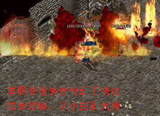 单职业迷失传奇新手快速成长攻略:从小白到大神 单职业迷失传奇新手快速成长攻略:从小白到大神