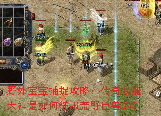 野外宝宝捕捉攻略:传奇私服大神是如何征服荒野巨兽的? 野外宝宝捕捉攻略:传奇私服大神是如何征服荒野巨兽的?