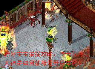 野外宝宝捕捉攻略:传奇私服大神是如何征服荒野巨兽的? 野外宝宝捕捉攻略:传奇私服大神是如何征服荒野巨兽的?