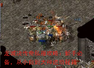 龙城决传奇私服攻略:新手必备,从小白到大神进阶秘籍 龙城决传奇私服攻略:新手必备,从小白到大神进阶秘籍