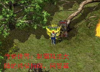 传奇世界:制霸玛法大陆的终极指南,问答篇 传奇世界:制霸玛法大陆的终极指南,问答篇