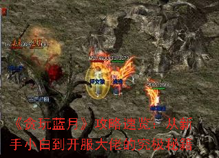 《贪玩蓝月》攻略速览:从新手小白到开服大佬的究极秘籍 《贪玩蓝月》攻略速览:从新手小白到开服大佬的究极秘籍