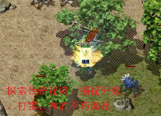 探索传奇秘境:揭秘升级、打宝、PK的不朽奥秘 探索传奇秘境:揭秘升级、打宝、PK的不朽奥秘