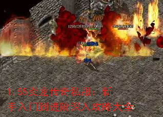 1.85炎龙传奇私服:新手入门到进阶深入攻略大全 1.85炎龙传奇私服:新手入门到进阶深入攻略大全