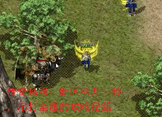 传奇私服:新区刚开一秒,吊打全服的攻略秘籍 传奇私服:新区刚开一秒,吊打全服的攻略秘籍