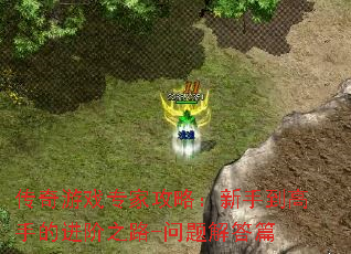 传奇游戏专家攻略:新手到高手的进阶之路-问题解答篇 传奇游戏专家攻略:新手到高手的进阶之路-问题解答篇