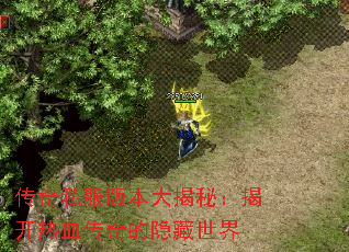 传奇私服版本大揭秘:揭开热血传奇的隐藏世界 传奇私服版本大揭秘:揭开热血传奇的隐藏世界