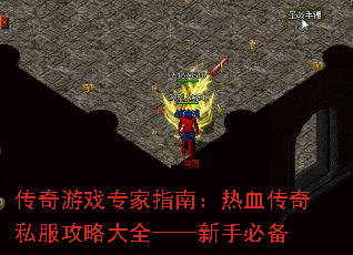 传奇游戏专家指南:热血传奇私服攻略大全——新手必备 传奇游戏专家指南:热血传奇私服攻略大全——新手必备