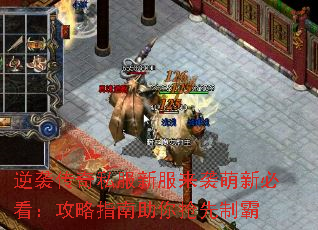 逆袭传奇私服新服来袭萌新必看:攻略指南助你抢先制霸 逆袭传奇私服新服来袭萌新必看:攻略指南助你抢先制霸