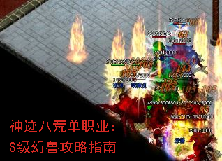 神迹八荒单职业:S级幻兽攻略指南 神迹八荒单职业:S级幻兽攻略指南