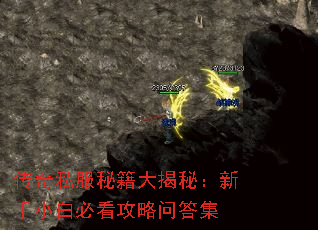 传奇私服秘籍大揭秘:新手小白必看攻略问答集 传奇私服秘籍大揭秘:新手小白必看攻略问答集
