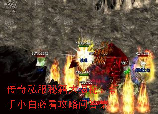 传奇私服秘籍大揭秘:新手小白必看攻略问答集 传奇私服秘籍大揭秘:新手小白必看攻略问答集