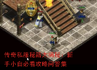 传奇私服秘籍大揭秘:新手小白必看攻略问答集 传奇私服秘籍大揭秘:新手小白必看攻略问答集