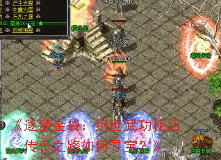 《逐梦金袋:绝世武功秘籍,传奇之路如何寻宝?》 《逐梦金袋:绝世武功秘籍,传奇之路如何寻宝?》