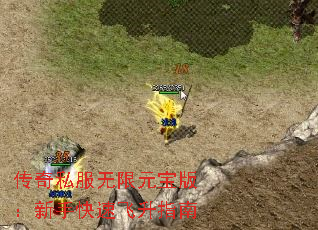 传奇私服无限元宝版:新手快速飞升指南 传奇私服无限元宝版:新手快速飞升指南