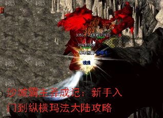 沙城霸主养成记:新手入门到纵横玛法大陆攻略 沙城霸主养成记:新手入门到纵横玛法大陆攻略