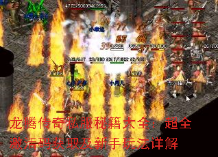 龙腾传奇私服秘籍大全:超全激活码获取及新手玩法详解 龙腾传奇私服秘籍大全:超全激活码获取及新手玩法详解