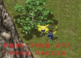 热血沸腾!传奇新篇:新手入门终极指南,从小白到王者 热血沸腾!传奇新篇:新手入门终极指南,从小白到王者