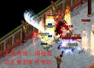 玉兔奇缘:揭秘灵动玉兔的旷世奇功 玉兔奇缘:揭秘灵动玉兔的旷世奇功