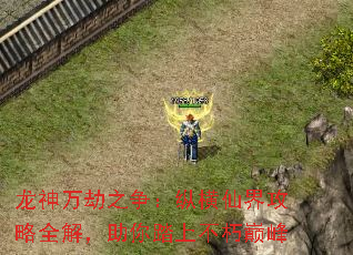 ֮ݺɽ繥ȫ⣬̤ϲ۷