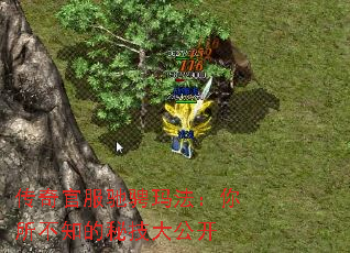 传奇官服驰骋玛法:你所不知的秘技大公开 传奇官服驰骋玛法:你所不知的秘技大公开