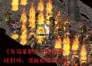 《苍穹单职业攻略秘籍:一战封神,成就巅峰霸主》 《苍穹单职业攻略秘籍:一战封神,成就巅峰霸主》