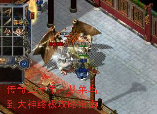 传奇三十年:从菜鸟到大神终极攻略指南 传奇三十年:从菜鸟到大神终极攻略指南