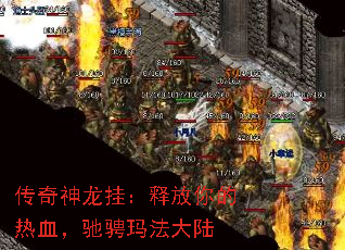 传奇神龙挂:释放你的热血,驰骋玛法大陆 传奇神龙挂:释放你的热血,驰骋玛法大陆