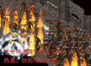 传奇神龙挂:释放你的热血,驰骋玛法大陆 传奇神龙挂:释放你的热血,驰骋玛法大陆